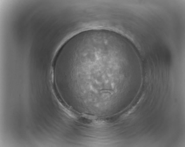 X0000070361509200606121155