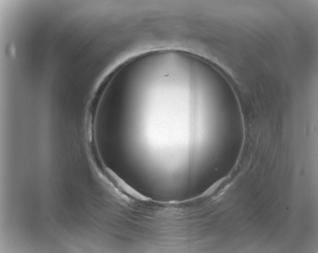 X0000070361510200606121155