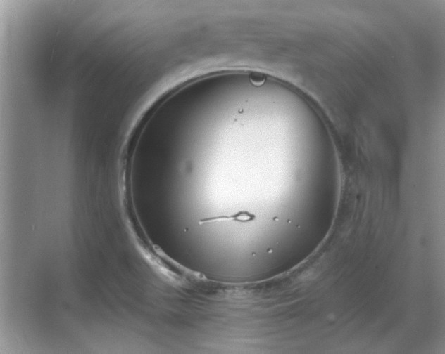 X0000070361511200606121155