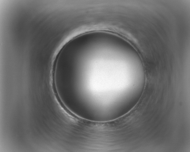 X0000070361512200606121156