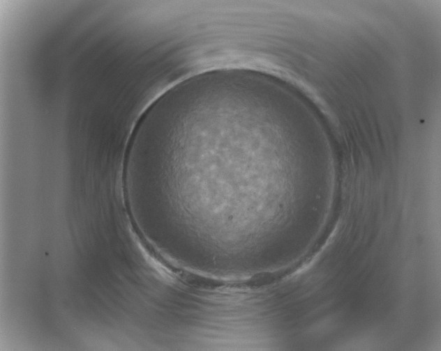 X0000070361513200606121156