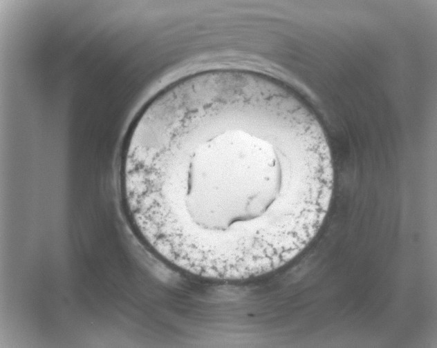 X0000070361514200606121156