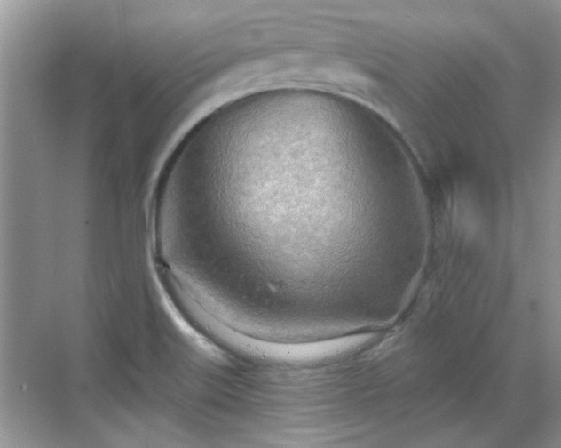 X0000070361515200606121156