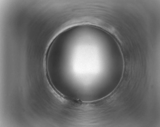 X0000070361516200606121156