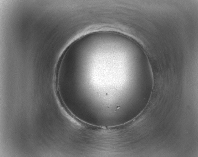 X0000070361518200606121156