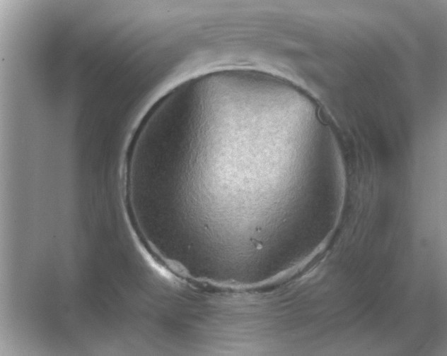 X0000070361519200606121156