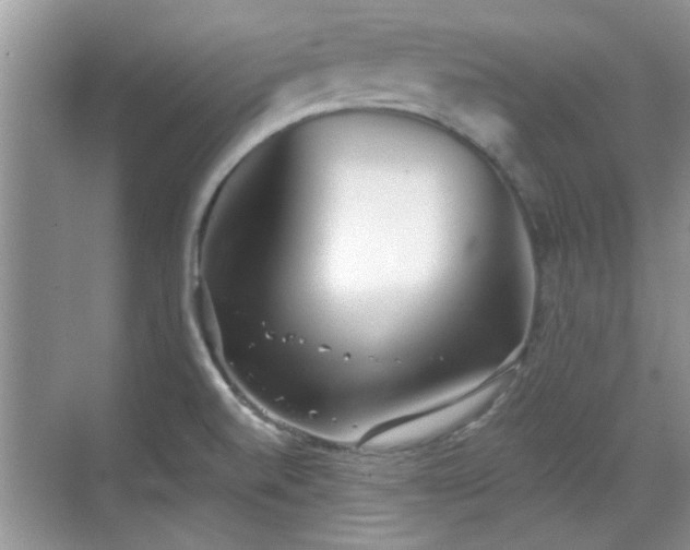 X0000070361520200606121156