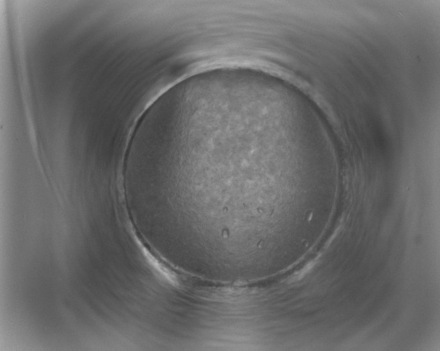 X0000070361521200606121156