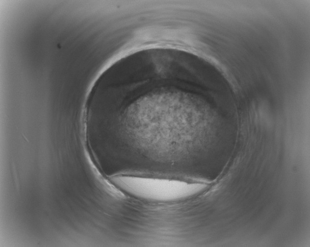 X0000070361522200606121156