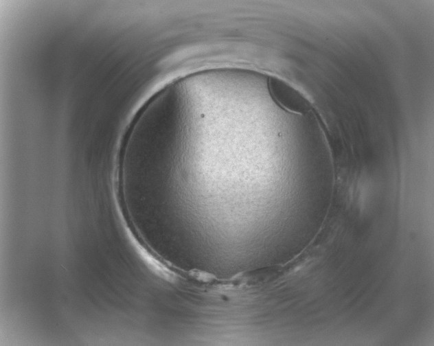 X0000070361523200606121156