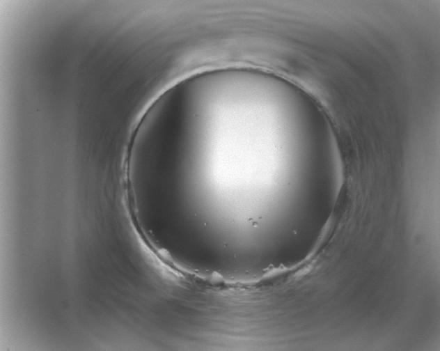 X0000070361524200606121156