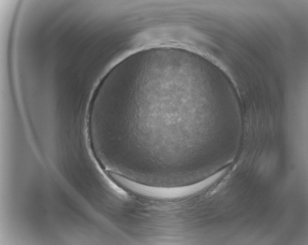 X0000070361525200606121156