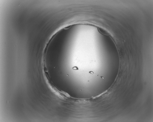 X0000070361526200606121156