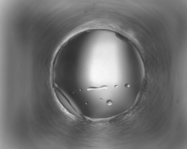 X0000070361528200606121156