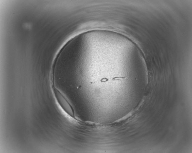 X0000070361531200606121156