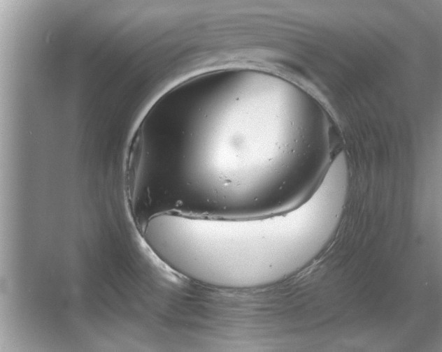 X0000070361532200606121156