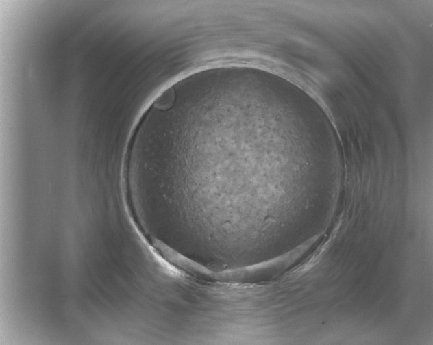 X0000070361533200606121156