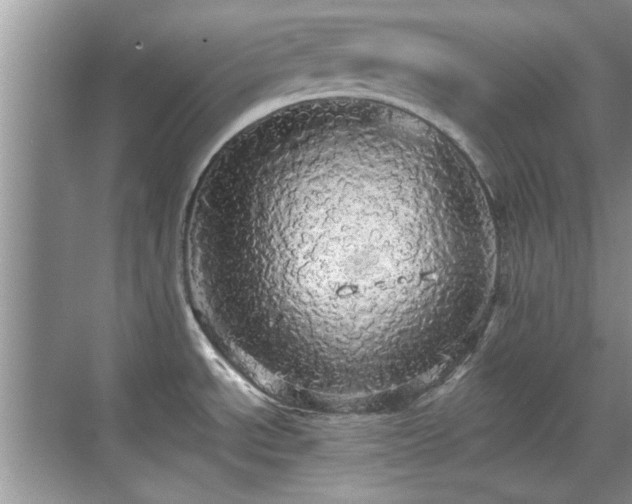 X0000070361534200606121156