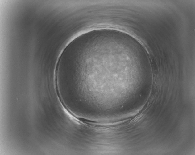 X0000070361535200606121156