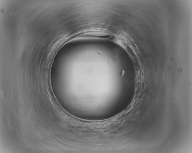 X0000070360001200606161303