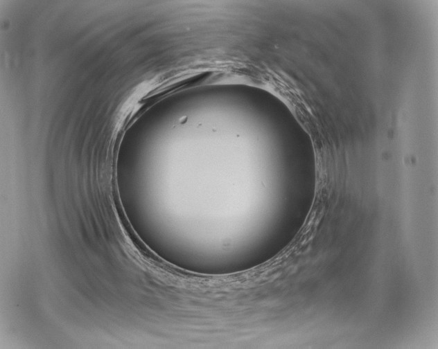 X0000070360003200606161303