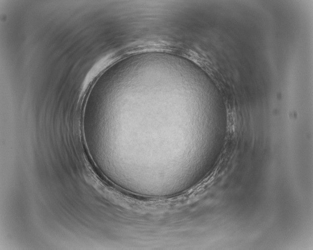 X0000070360004200606161303