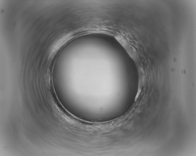 X0000070360005200606161303