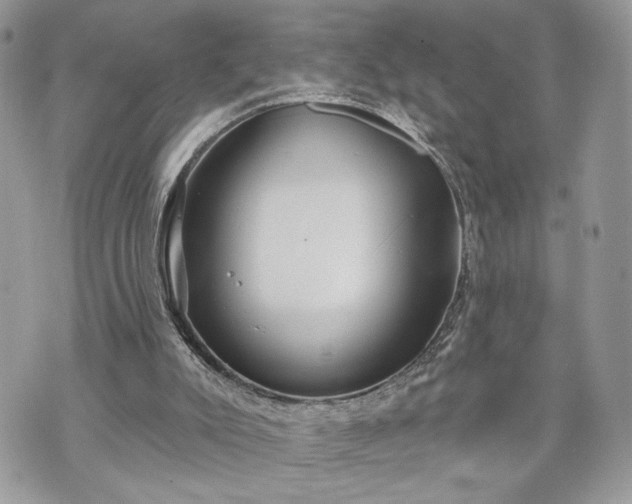 X0000070360007200606161303