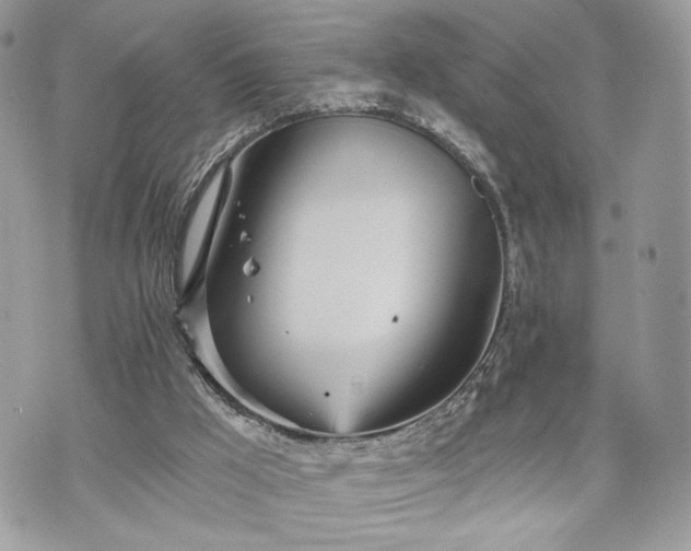 X0000070360009200606161303