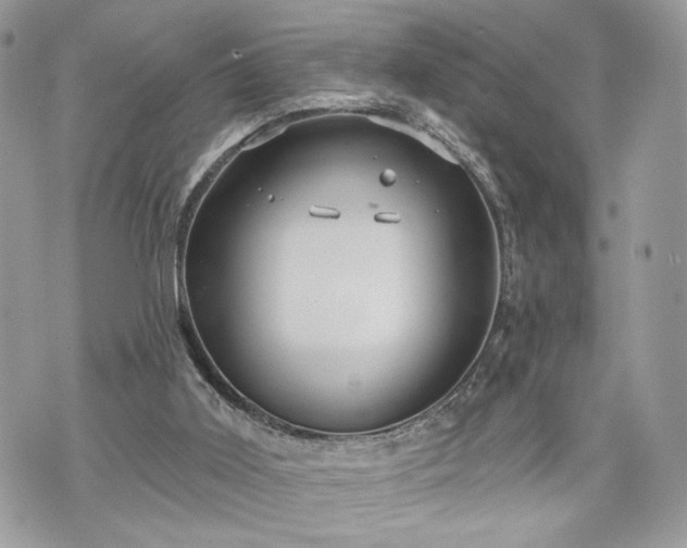 X0000070360011200606161303