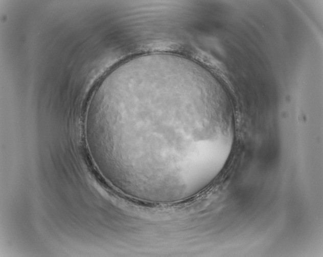 X0000070360012200606161303