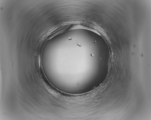 X0000070360013200606161303