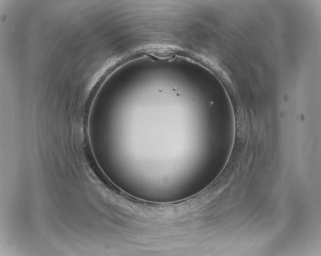 X0000070360015200606161303