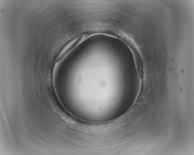 X0000070360017200606161303