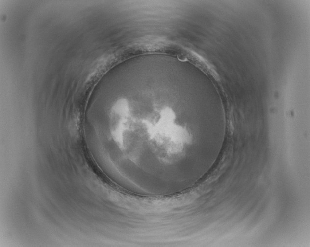 X0000070360018200606161303