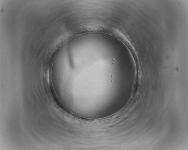 X0000070360019200606161303