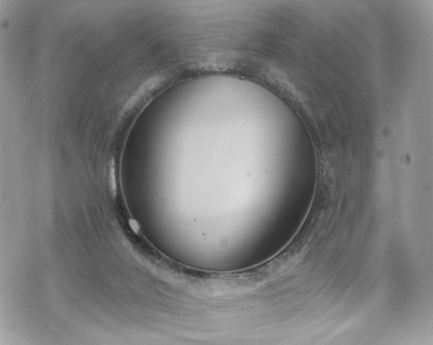 X0000070360020200606161303