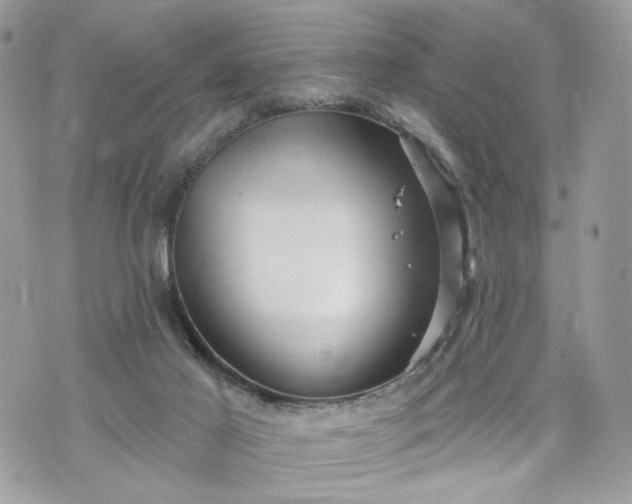 X0000070360021200606161303