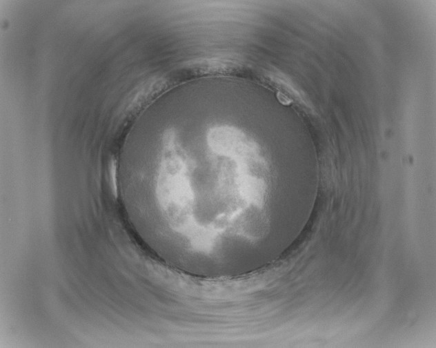 X0000070360022200606161303