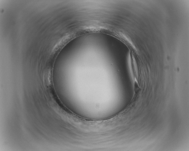 X0000070360023200606161303