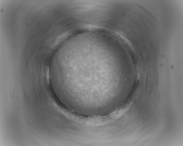 X0000070360024200606161303