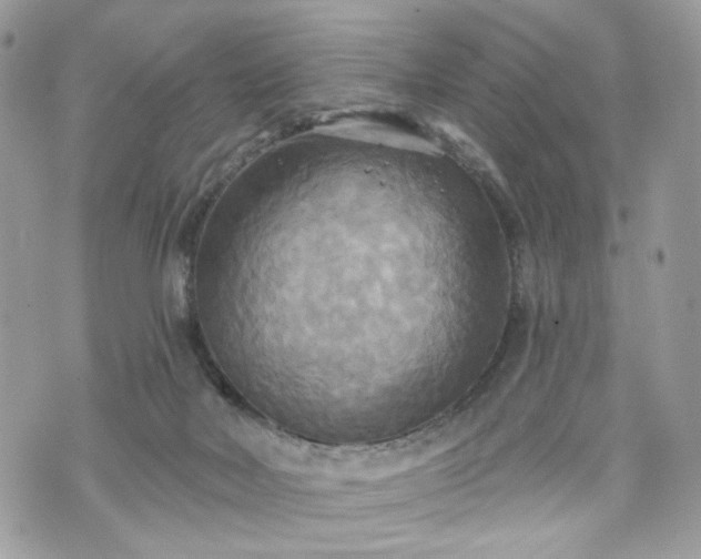 X0000070360026200606161303