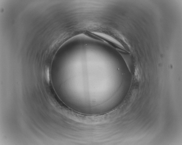 X0000070360027200606161303