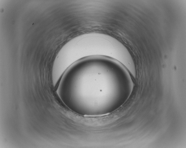 X0000070360030200606161303