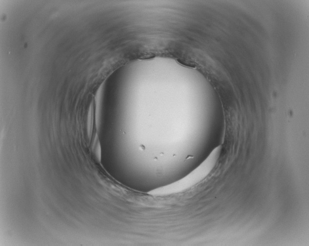 X0000070360033200606161303