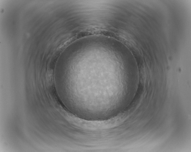 X0000070360034200606161303