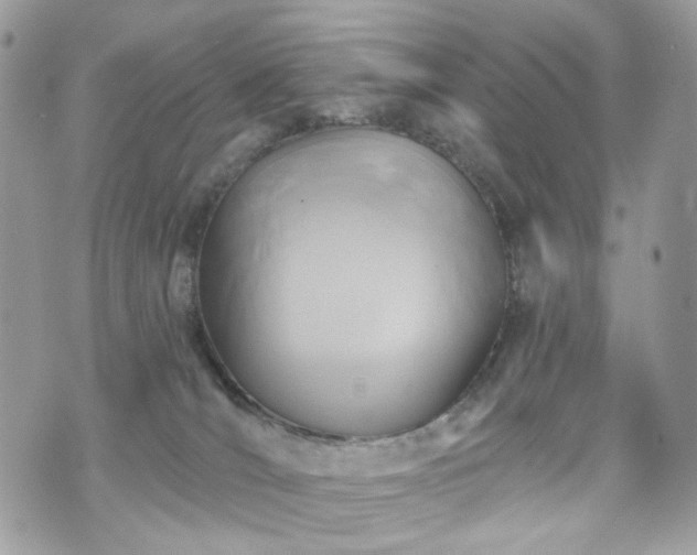 X0000070360036200606161303