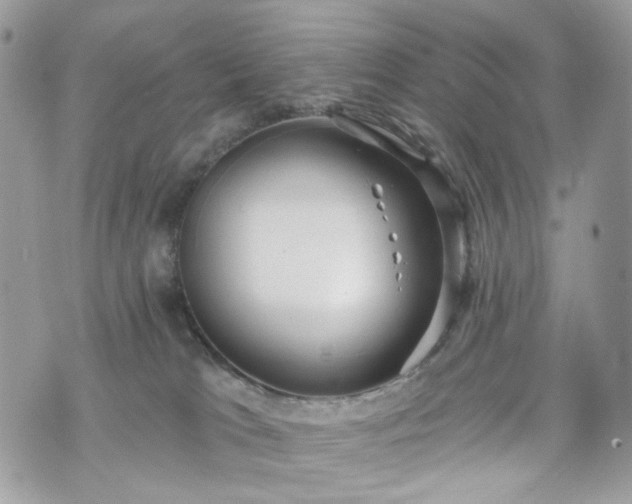 X0000070360037200606161303