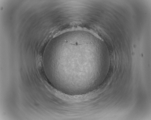 X0000070360038200606161303