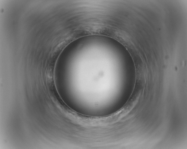 X0000070360040200606161303